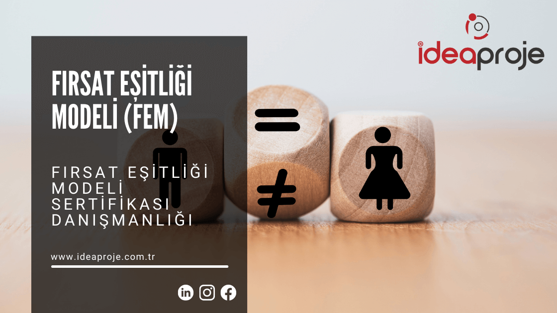 Fırsat Eşitliği Modeli (FEM)